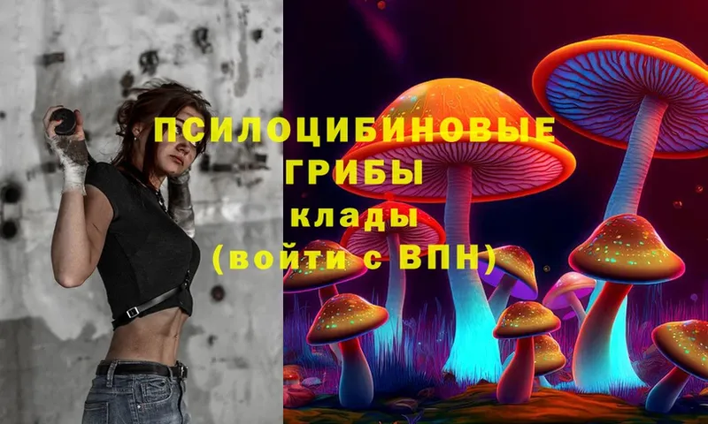 Галлюциногенные грибы Cubensis  mega как войти  Орлов 